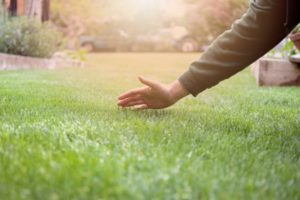 7 Tips on How to Prepare Your Lawn for Winter